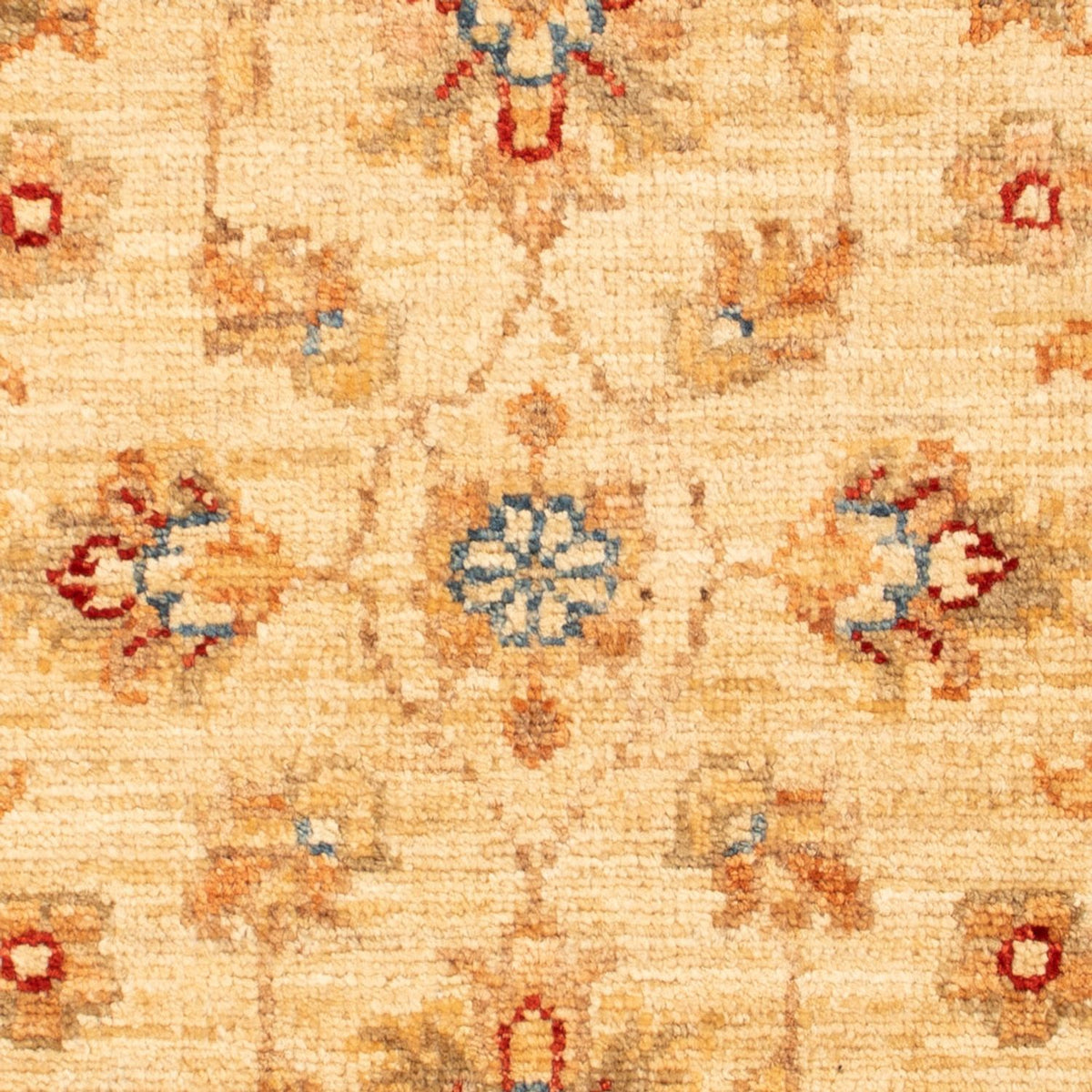 Ziegler Rug - 72 x 53 cm - beige