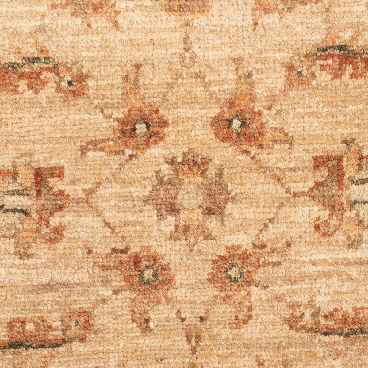 Ziegler Rug - 66 x 51 cm - beige