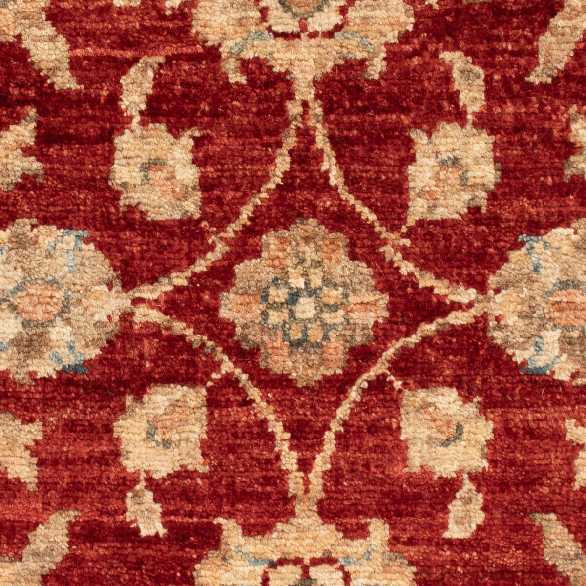 Ziegler Rug - 65 x 50 cm - red