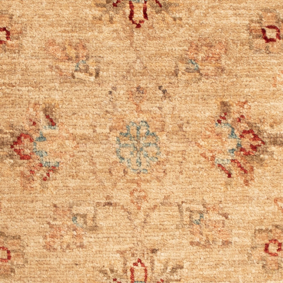 Ziegler Rug - 67 x 52 cm - beige
