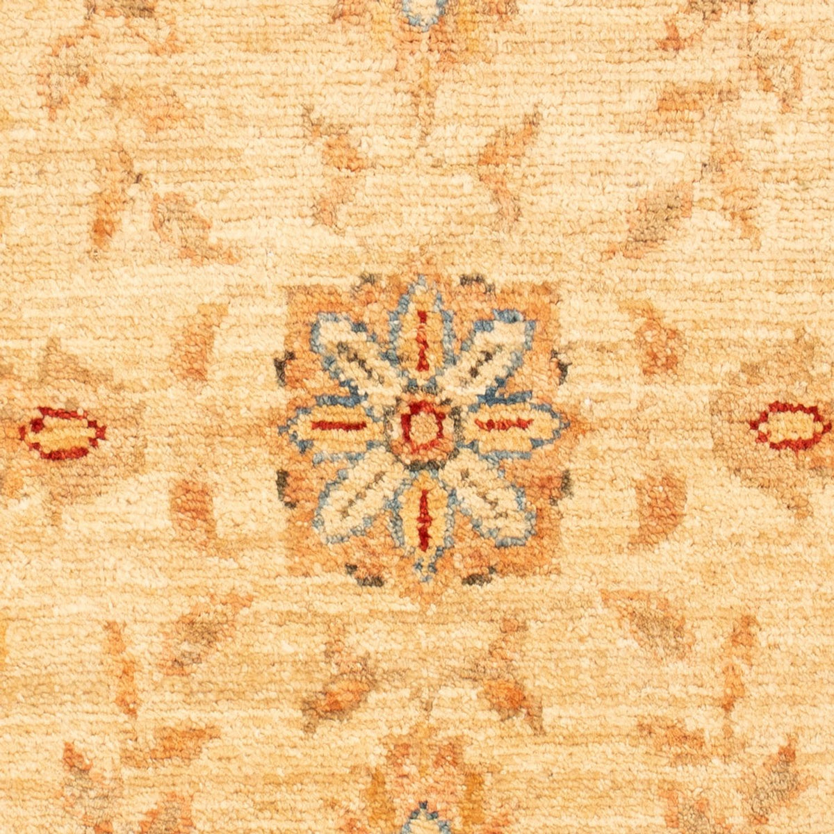 Ziegler Rug - 70 x 52 cm - beige