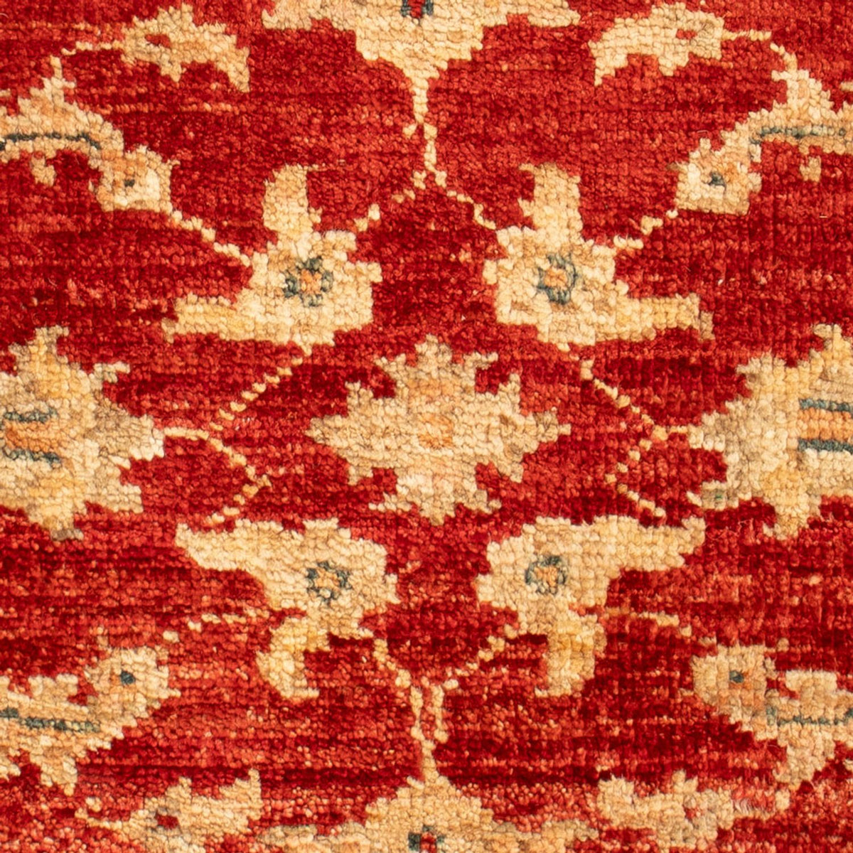 Ziegler Rug - 61 x 43 cm - red