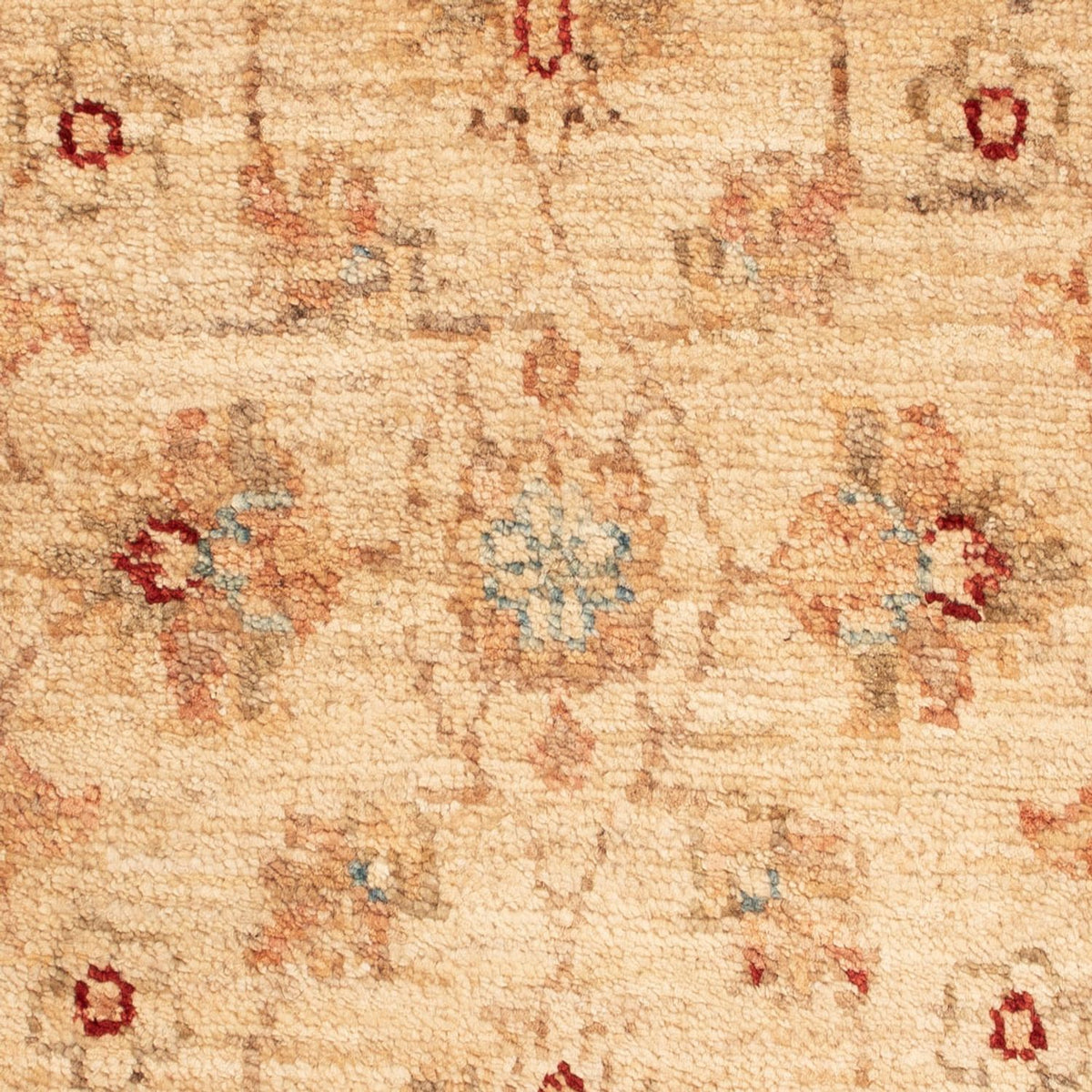 Ziegler Rug - 74 x 50 cm - beige