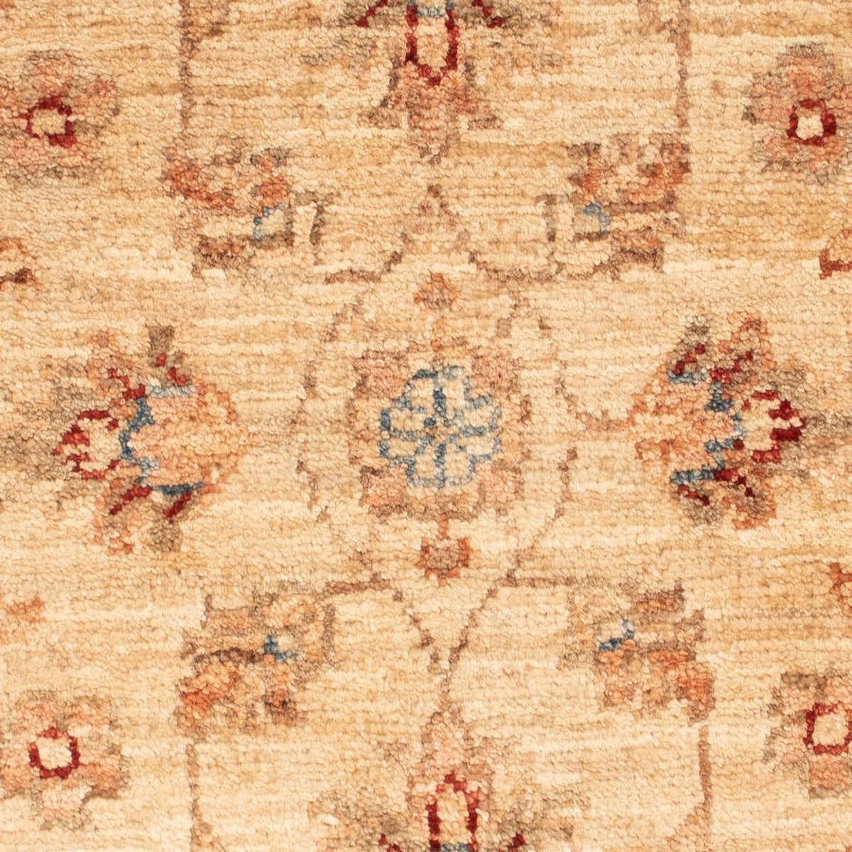 Ziegler Rug - 70 x 51 cm - beige