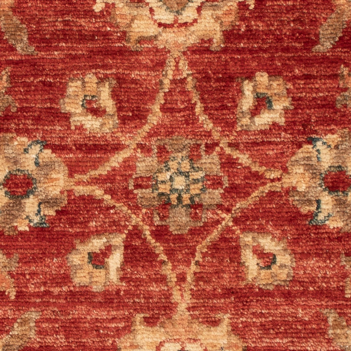 Ziegler Rug - 70 x 48 cm - red