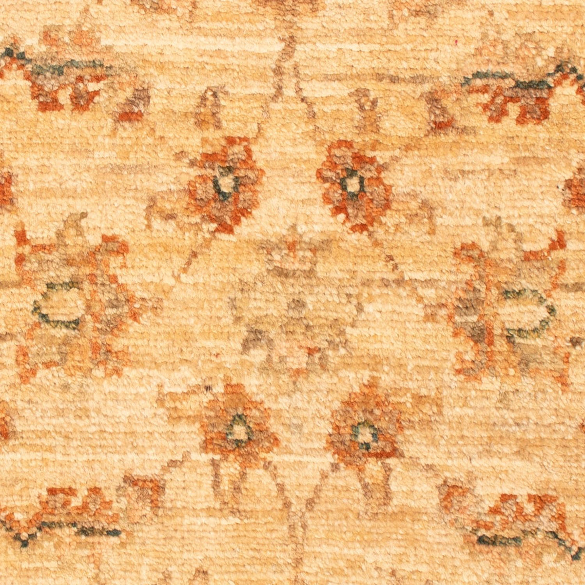 Ziegler Rug - 73 x 50 cm - beige