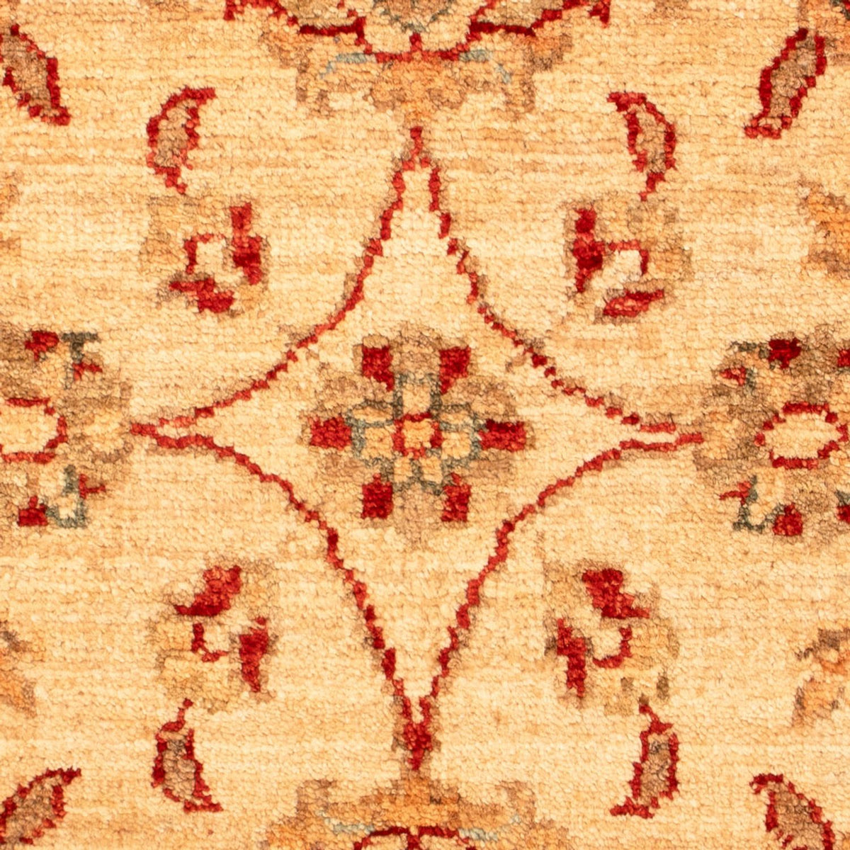 Ziegler Rug - 70 x 52 cm - beige