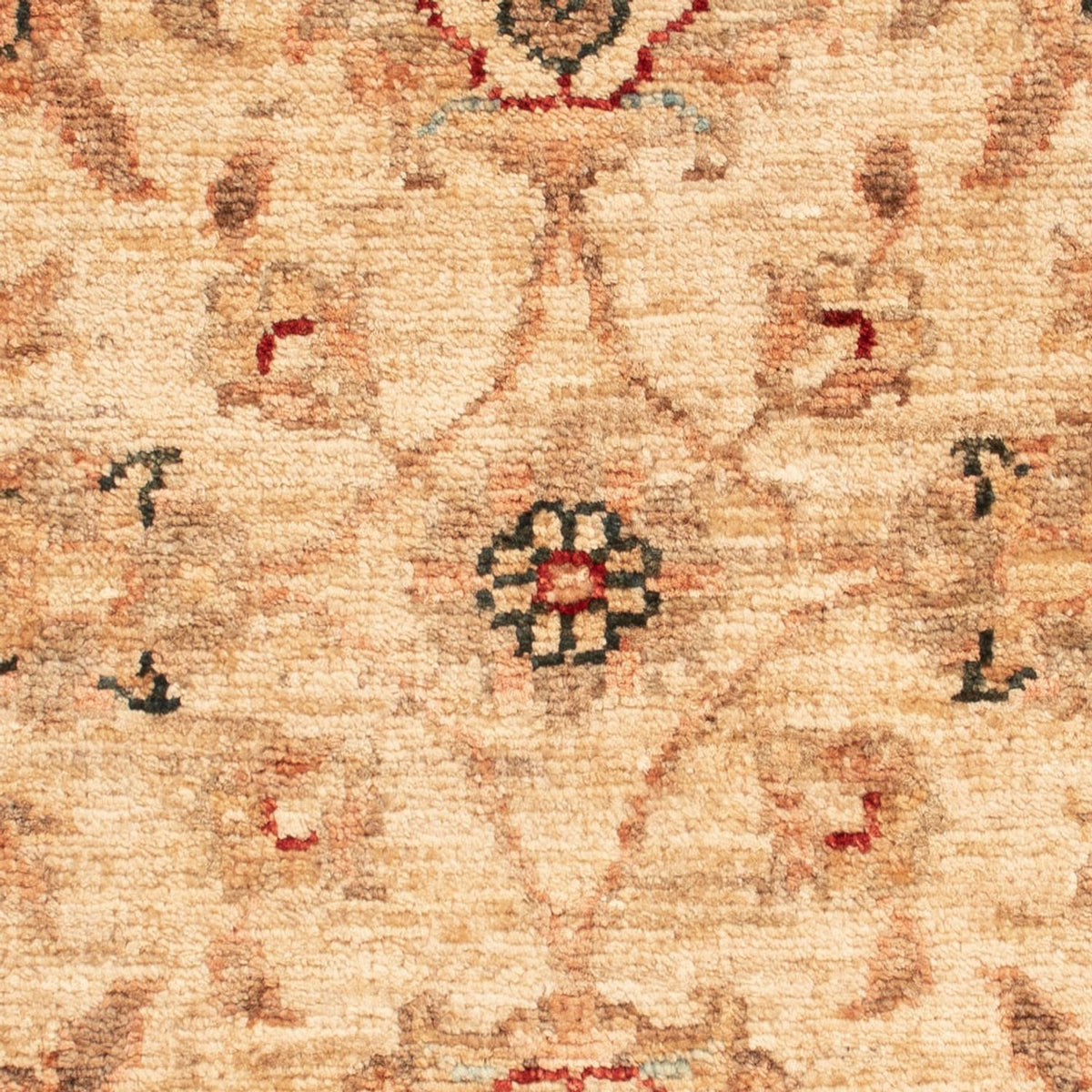 Ziegler Rug - 66 x 52 cm - beige