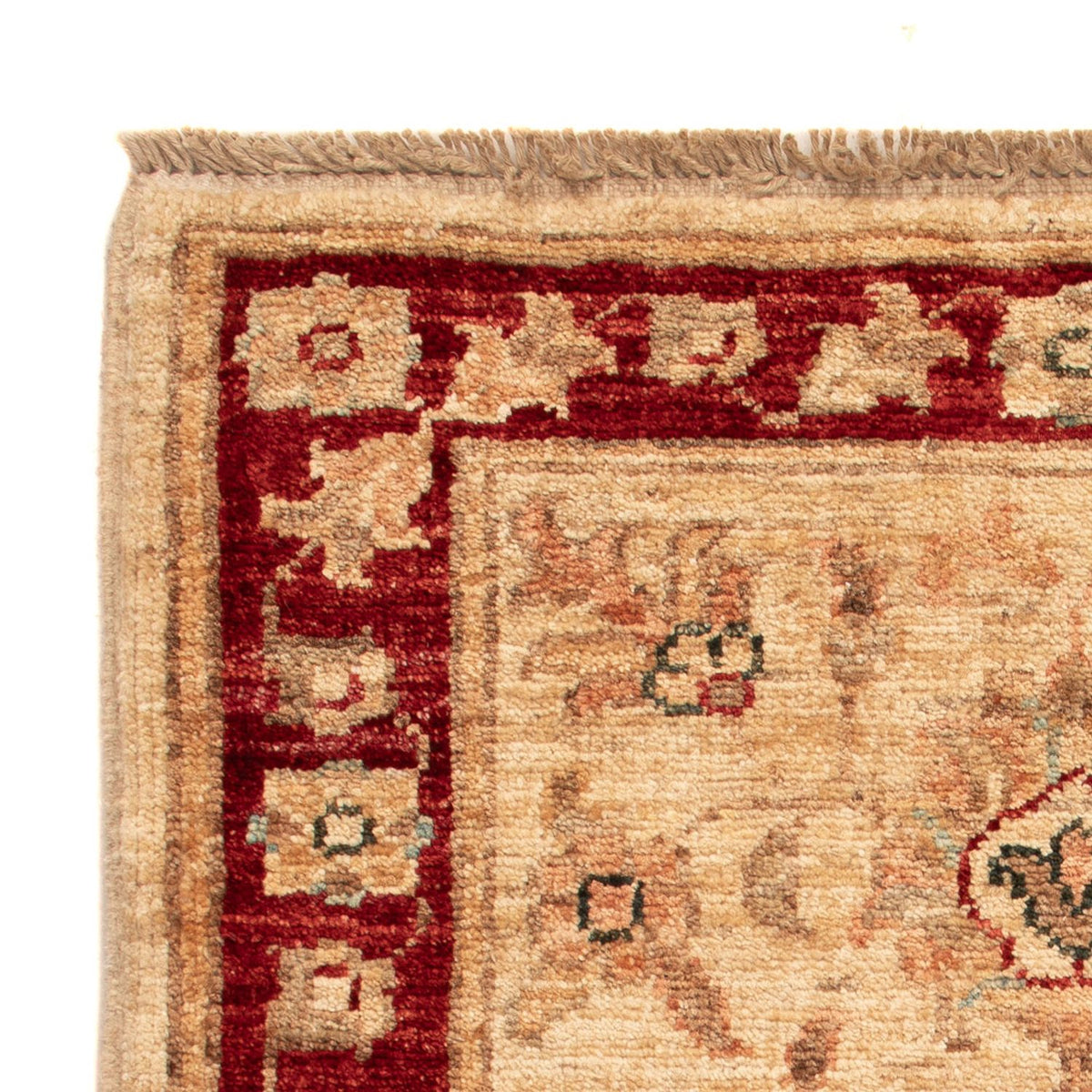 Ziegler Rug - 66 x 52 cm - beige