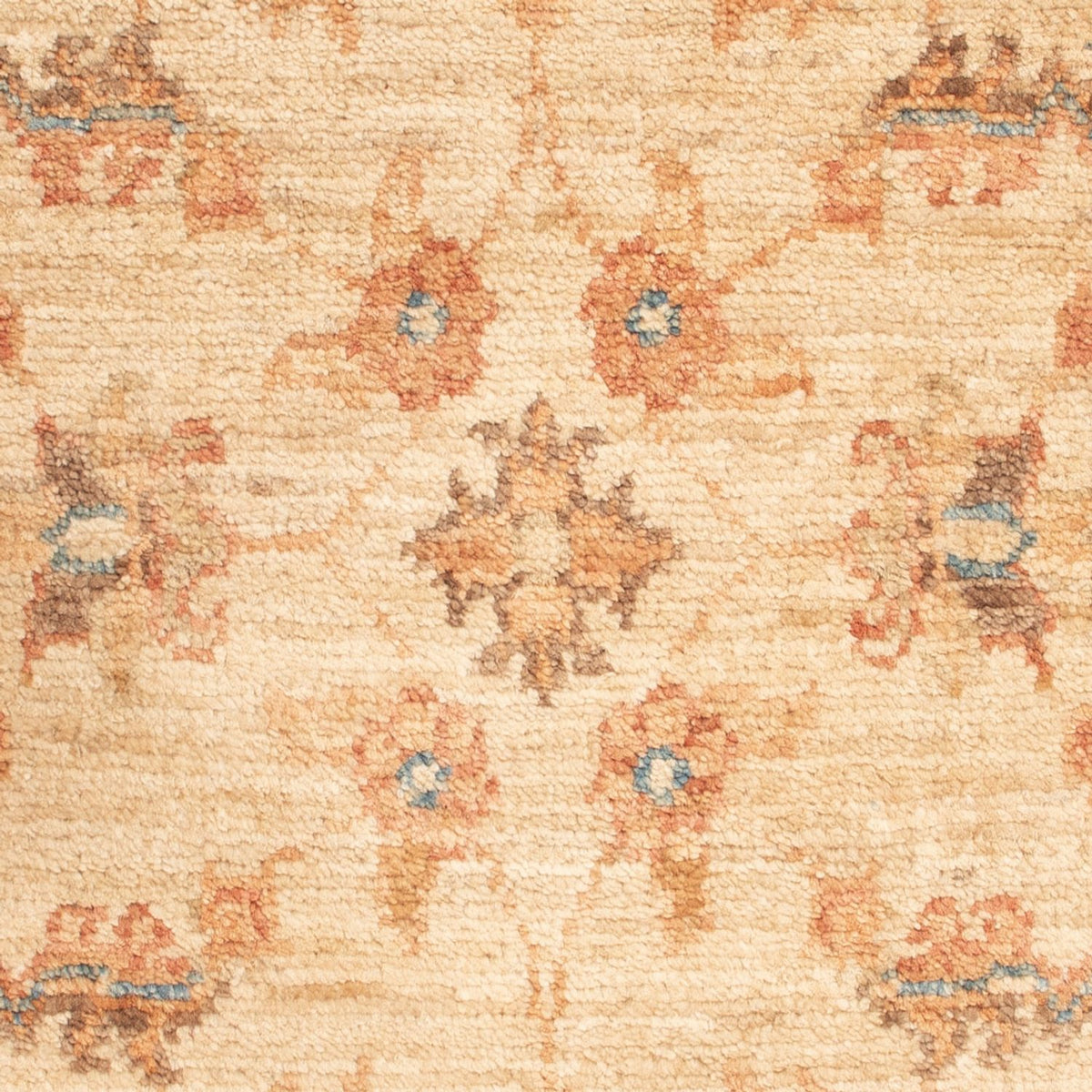 Ziegler Rug - 74 x 49 cm - beige