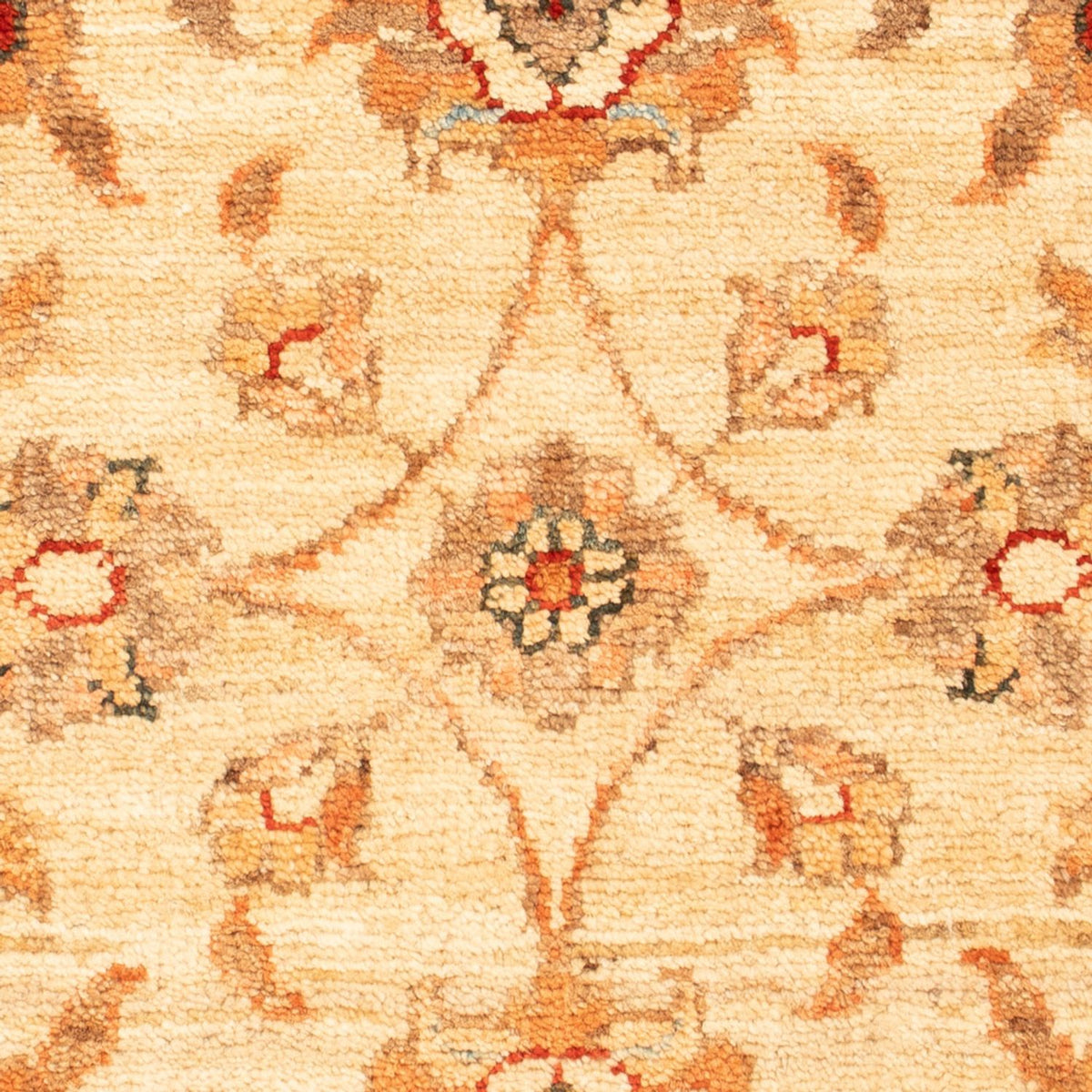 Ziegler Rug - 71 x 52 cm - beige