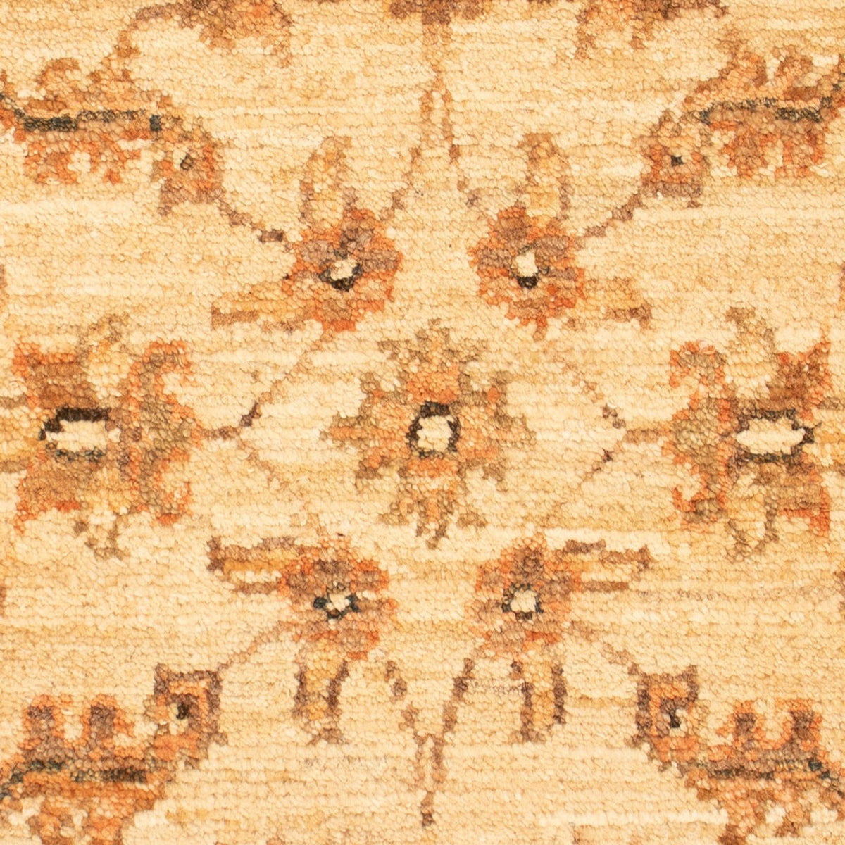 Ziegler Rug - 72 x 51 cm - beige