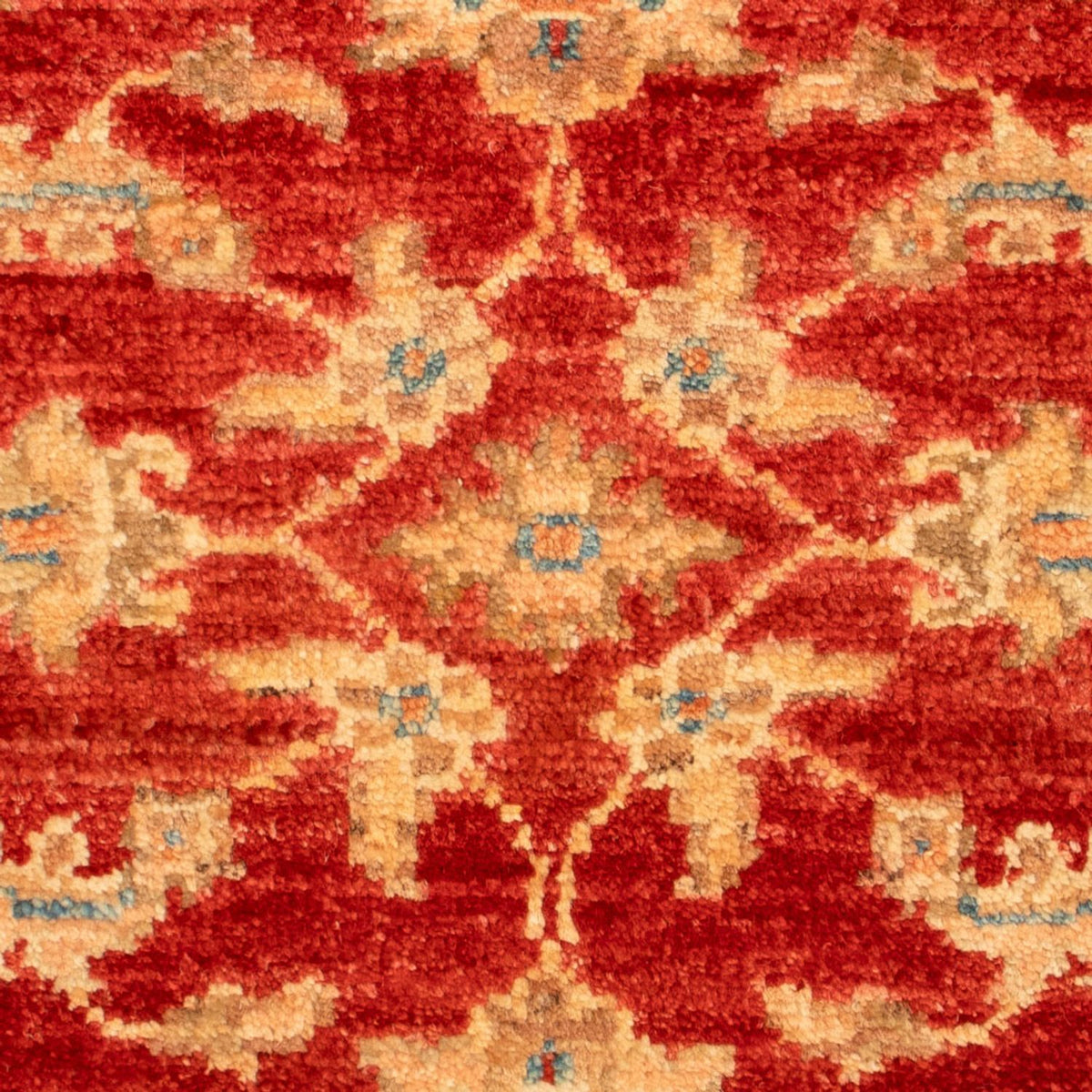 Ziegler Rug - 69 x 53 cm - red