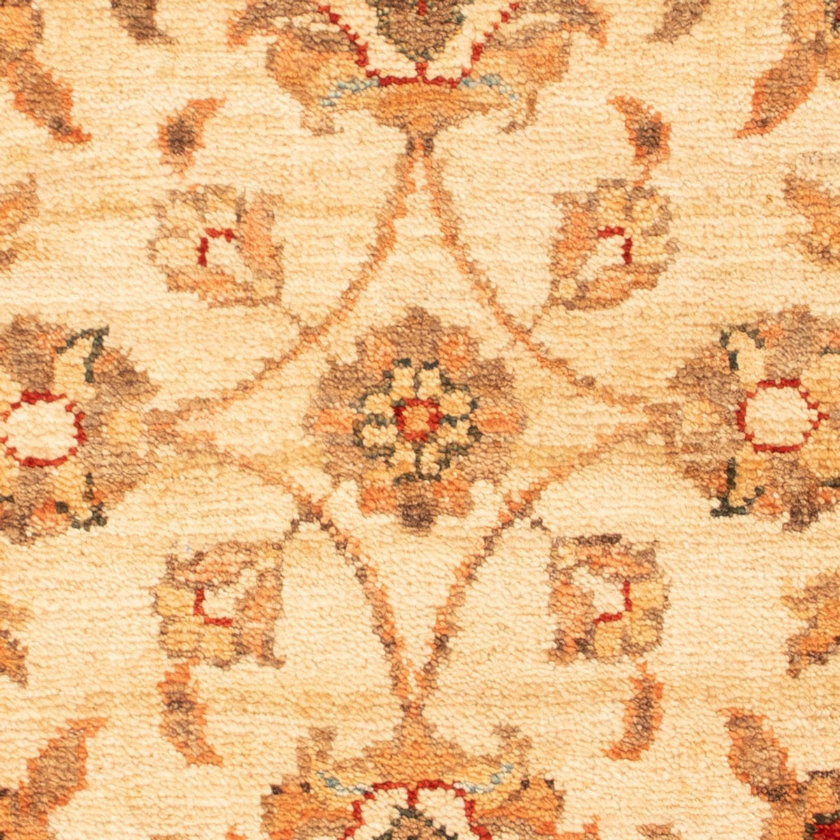 Ziegler Rug - 67 x 53 cm - beige
