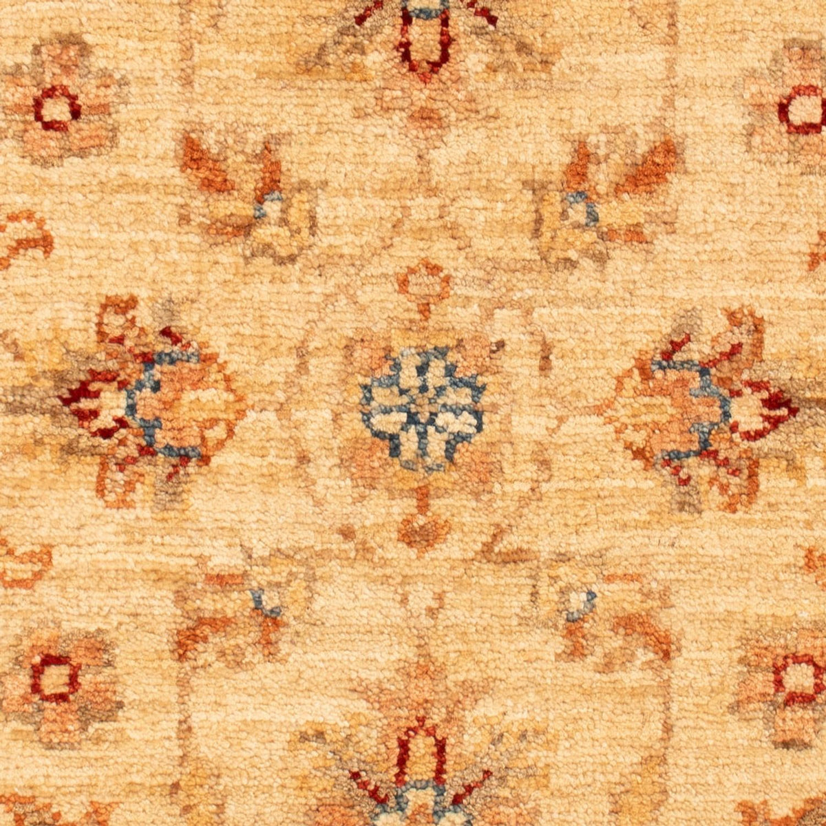 Ziegler Rug - 67 x 51 cm - beige