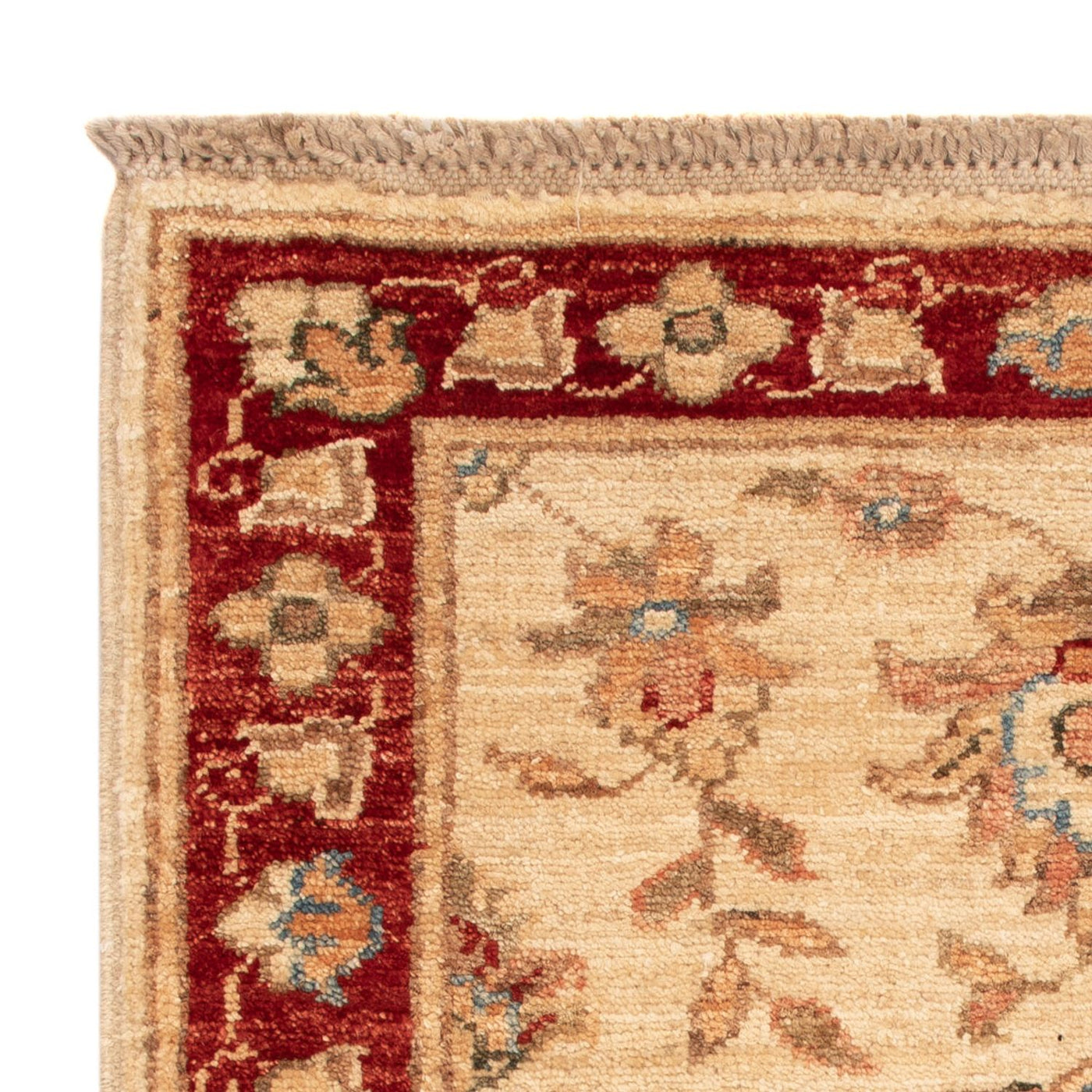 Ziegler Rug 61x51cm - Oriental Rug