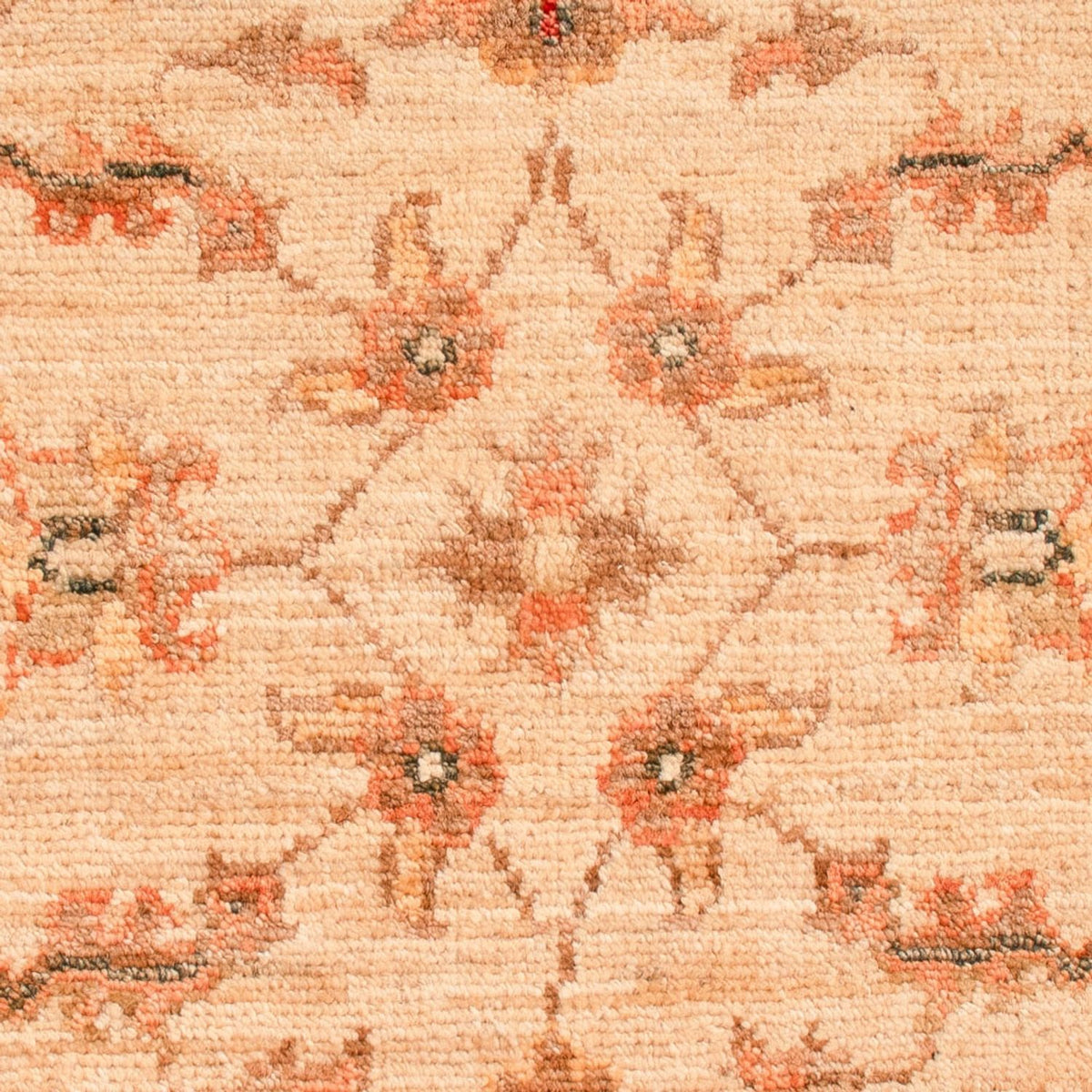 Ziegler Rug - 71 x 55 cm - beige