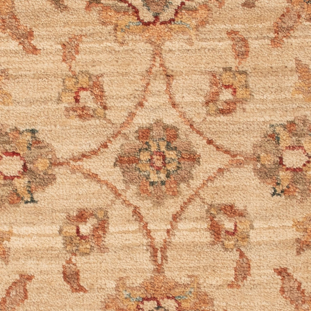 Ziegler Rug - 66 x 49 cm - beige
