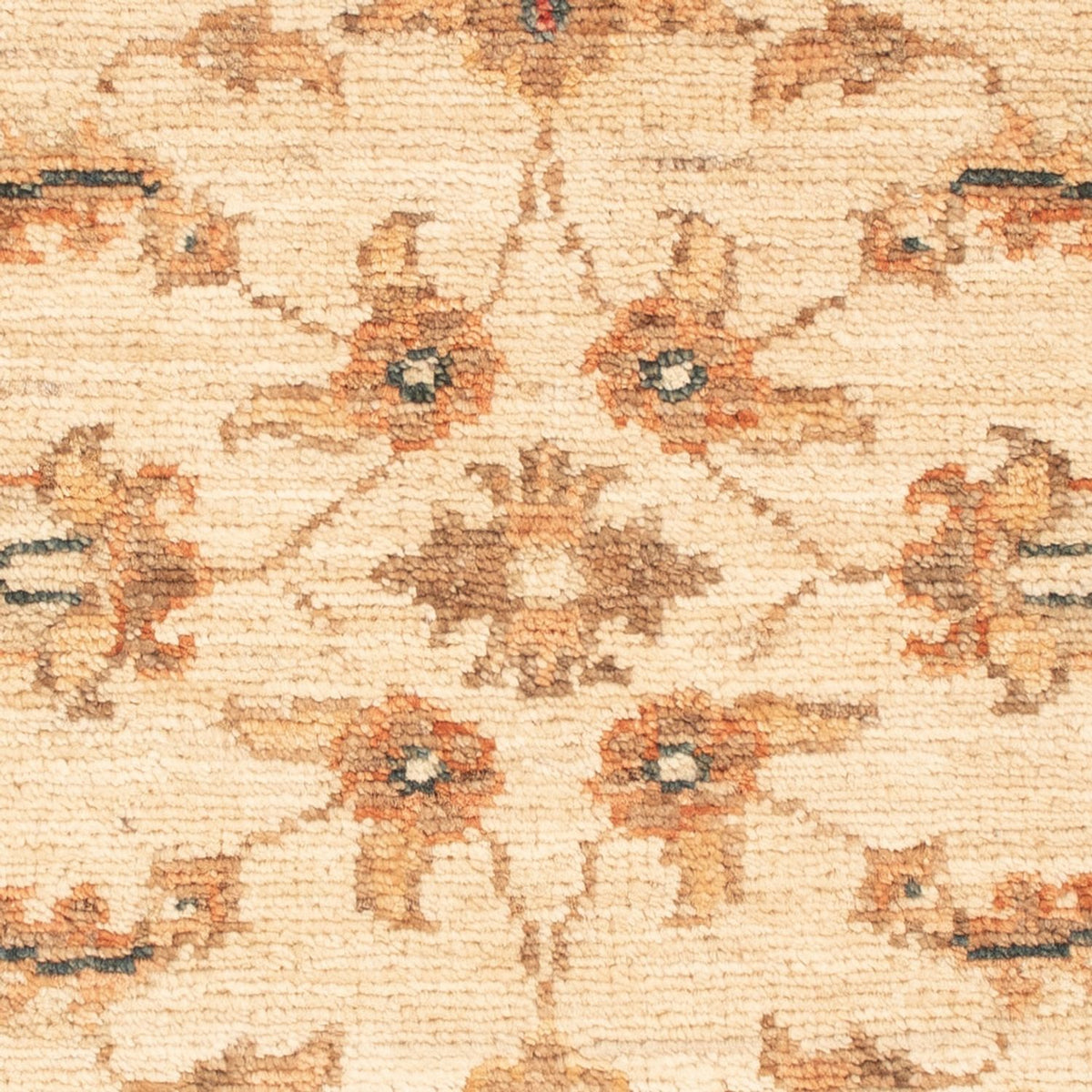 Ziegler Rug - 64 x 51 cm - beige