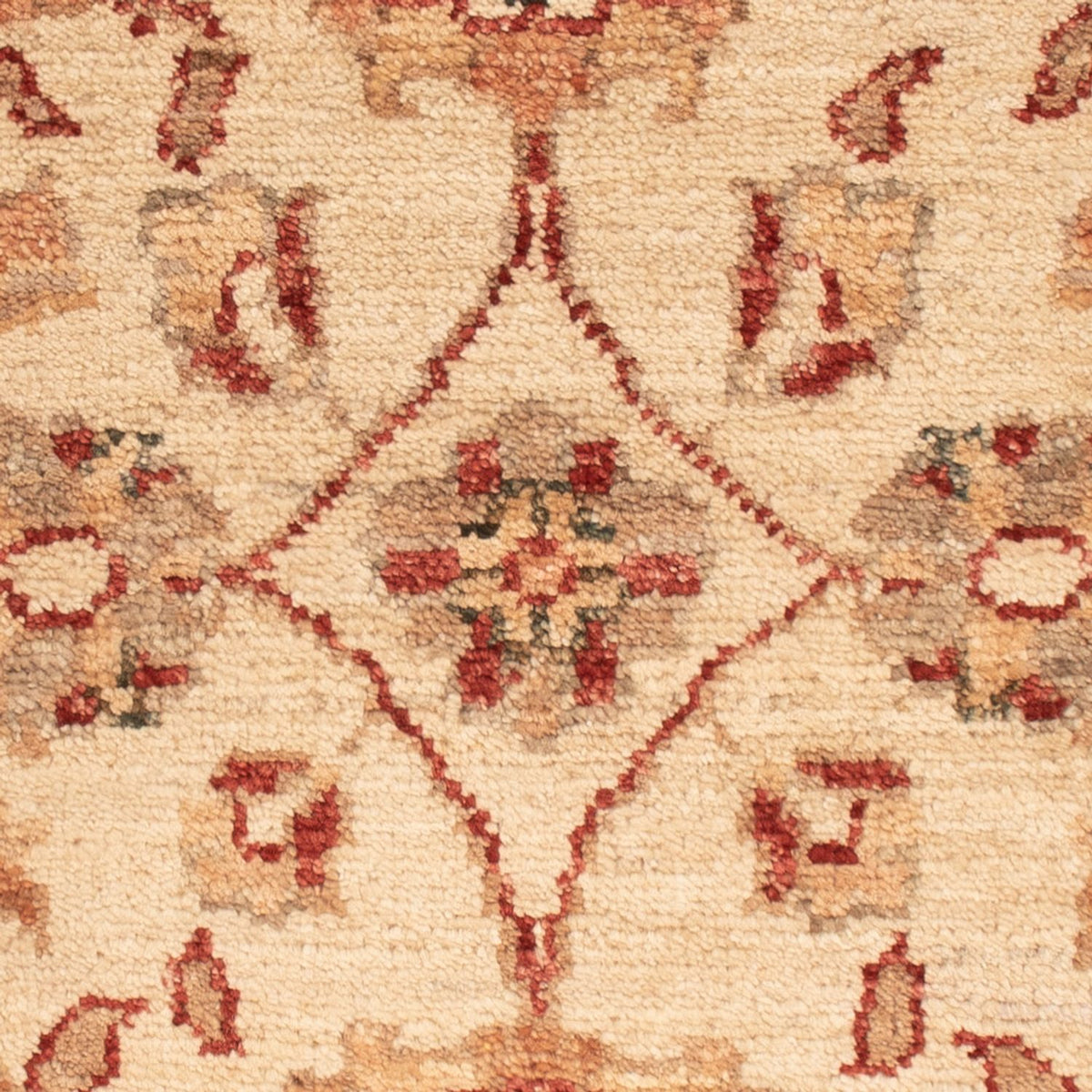 Ziegler Rug - 68 x 52 cm - beige