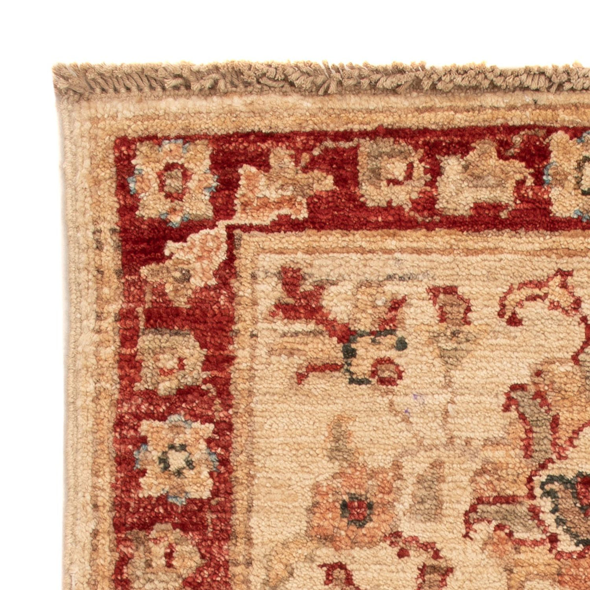 Ziegler Rug - 68 x 52 cm - beige