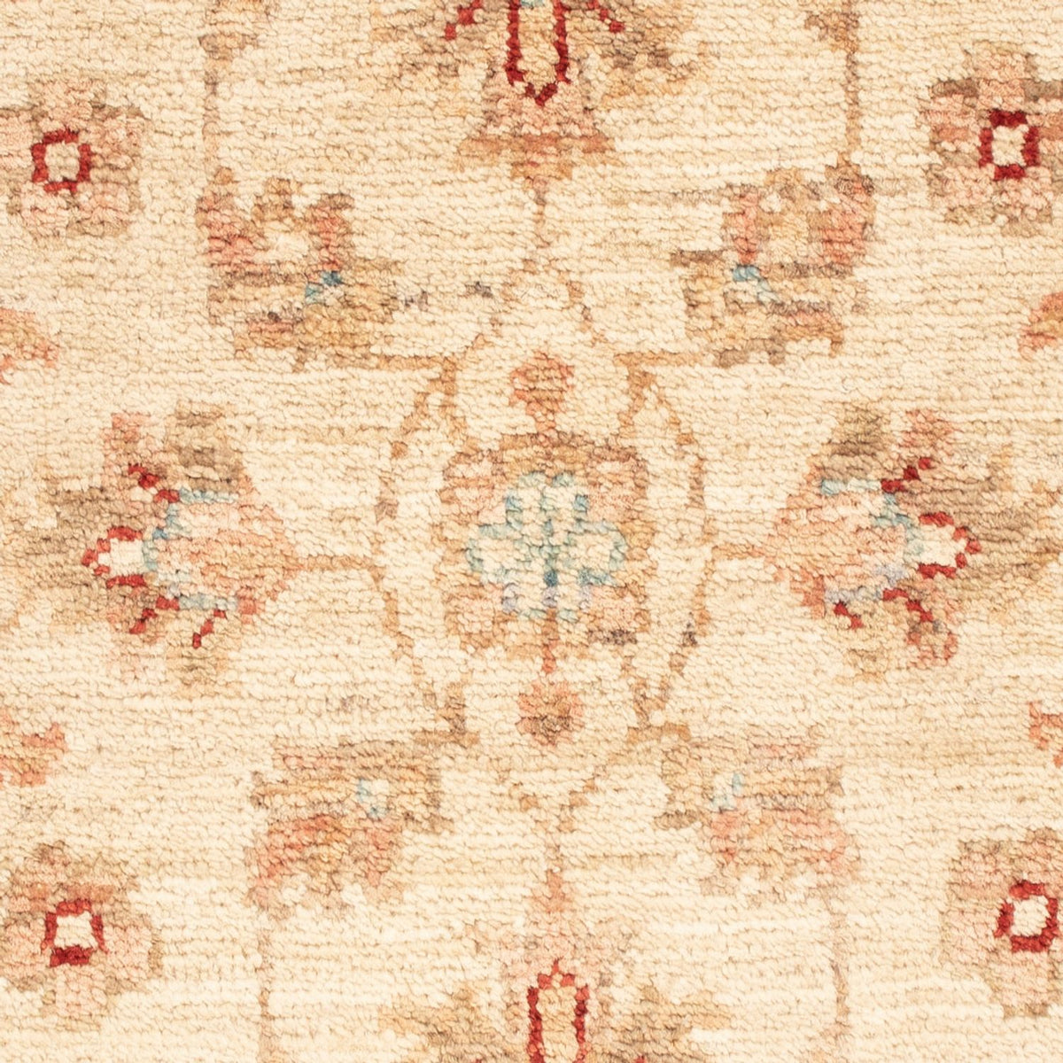 Ziegler Rug - 73 x 53 cm - beige