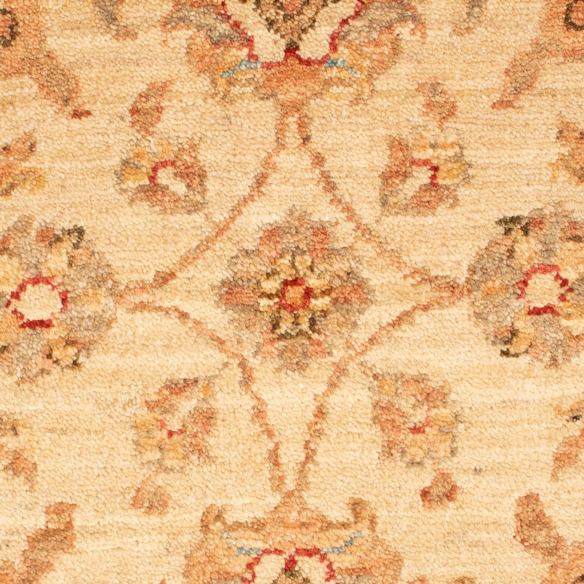 Ziegler Rug - 72 x 52 cm - beige