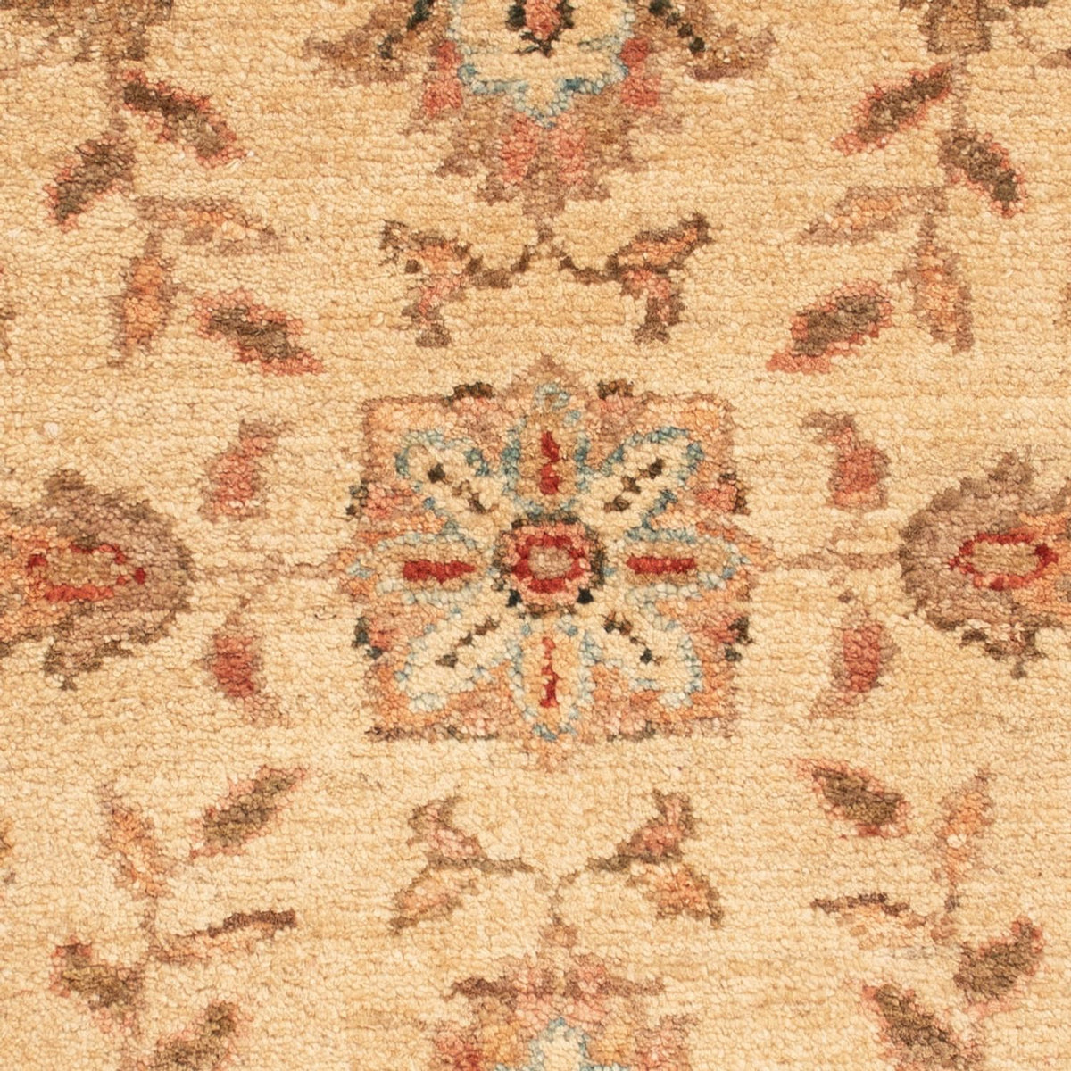 Ziegler Rug square  - 70 x 69 cm - beige