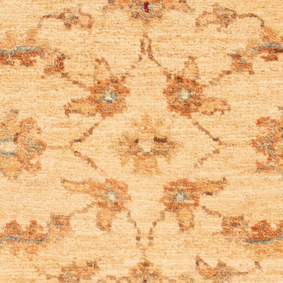 Ziegler Rug - 65 x 54 cm - beige