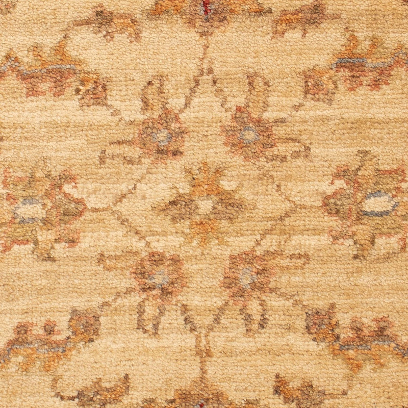 Ziegler Rug 67x51cm - Oriental Rug