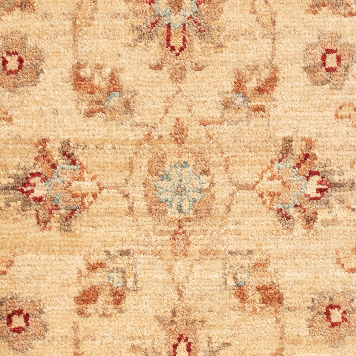 Ziegler Rug - 71 x 50 cm - beige