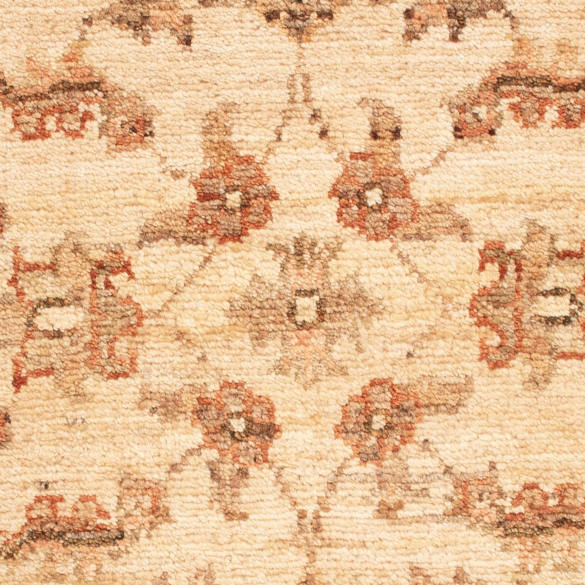 Ziegler Rug - 72 x 51 cm - beige