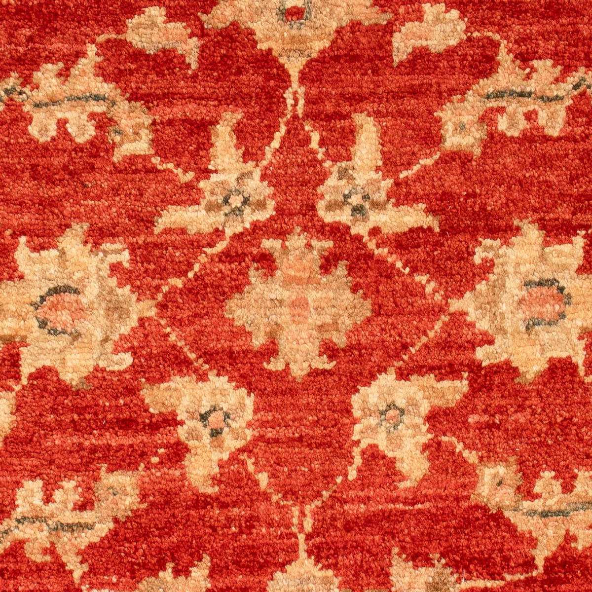 Ziegler Rug - 68 x 54 cm - red