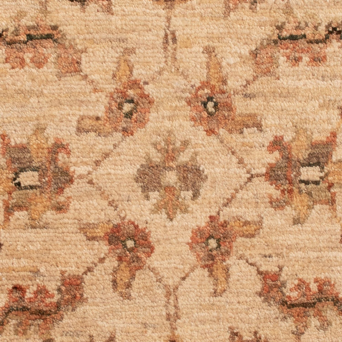 Ziegler Rug - 75 x 52 cm - beige