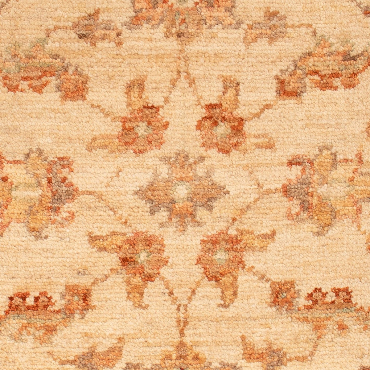 Ziegler Rug - 70 x 52 cm - beige