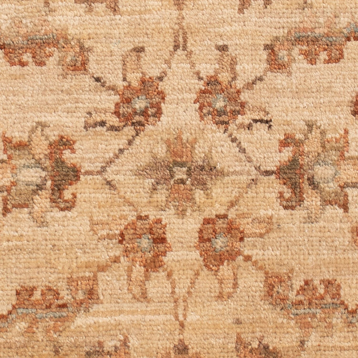 Ziegler Rug - 70 x 50 cm - beige