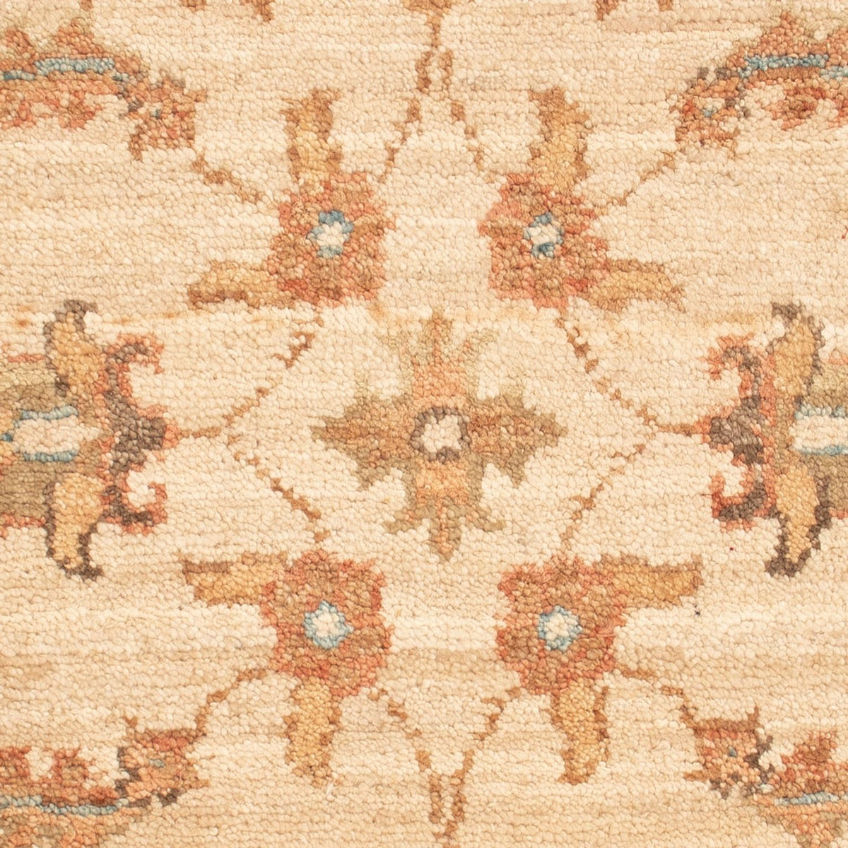 Ziegler Rug - 65 x 53 cm - beige