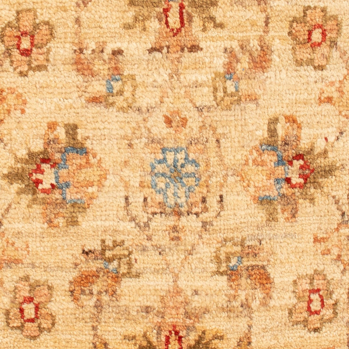 Ziegler Rug - 72 x 52 cm - beige