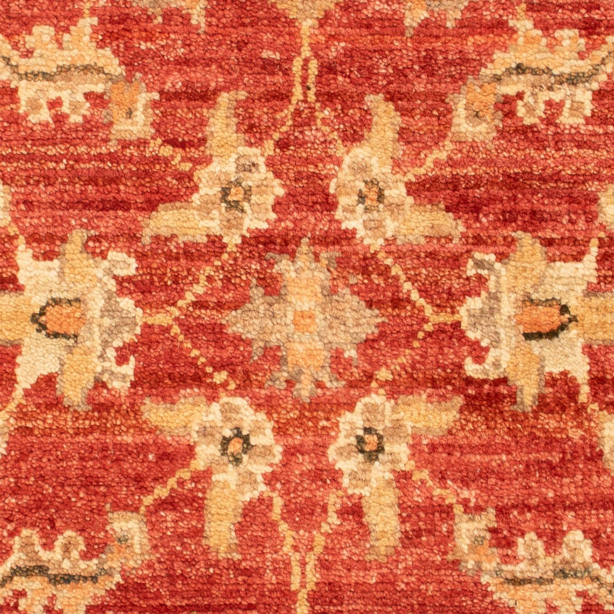 Ziegler Rug - 71 x 52 cm - red