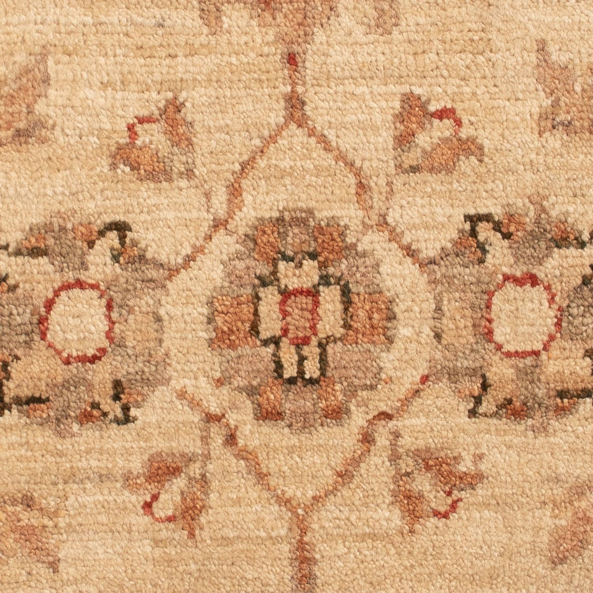 Ziegler Rug - 70 x 44 cm - beige