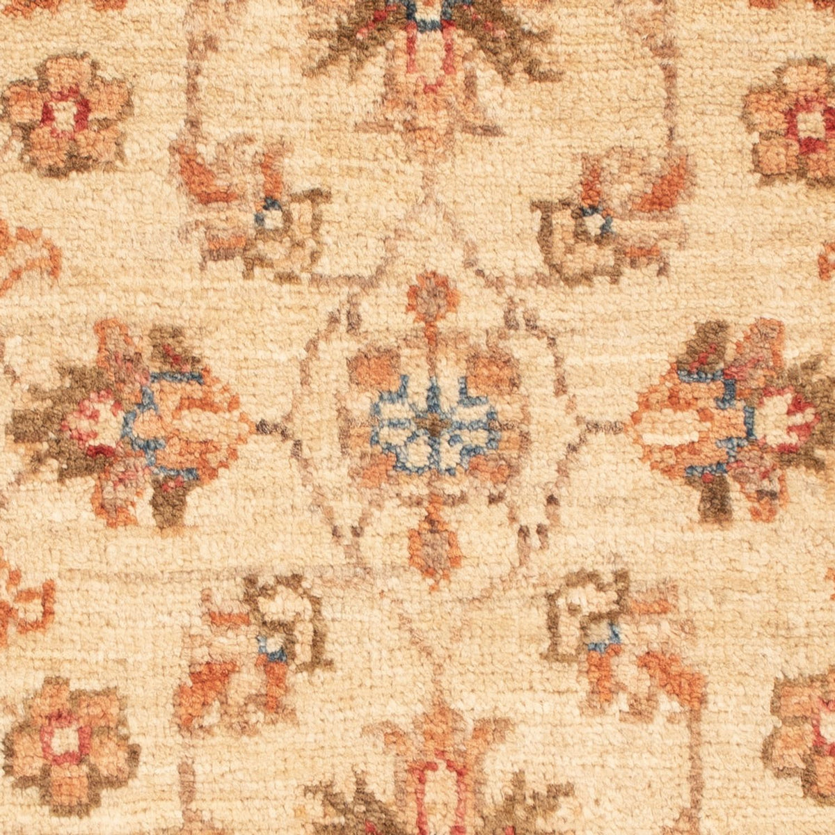 Ziegler Rug - 69 x 52 cm - beige
