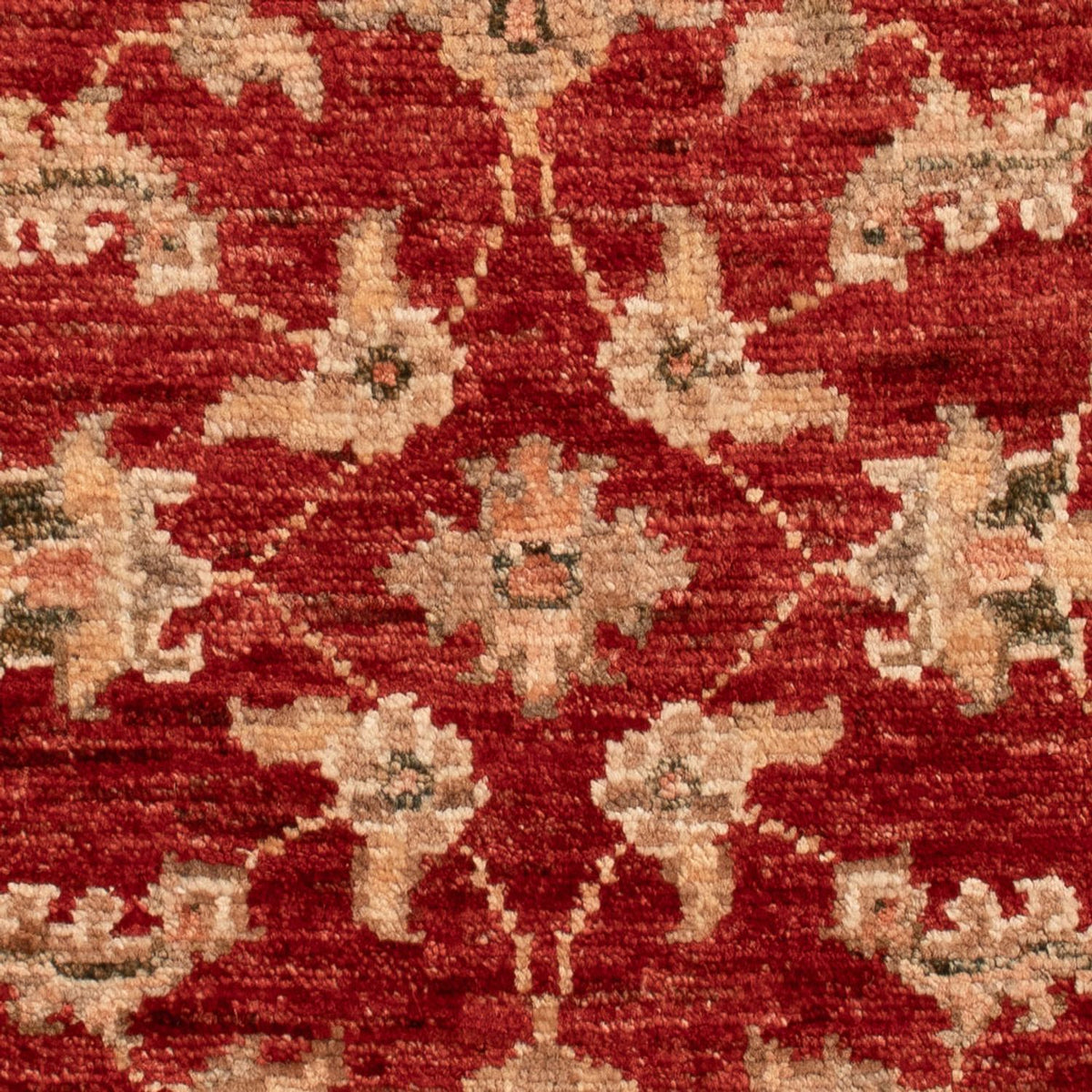 Ziegler Rug - 73 x 55 cm - red