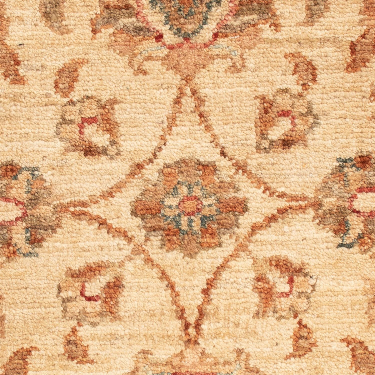 Ziegler Rug - 66 x 52 cm - beige