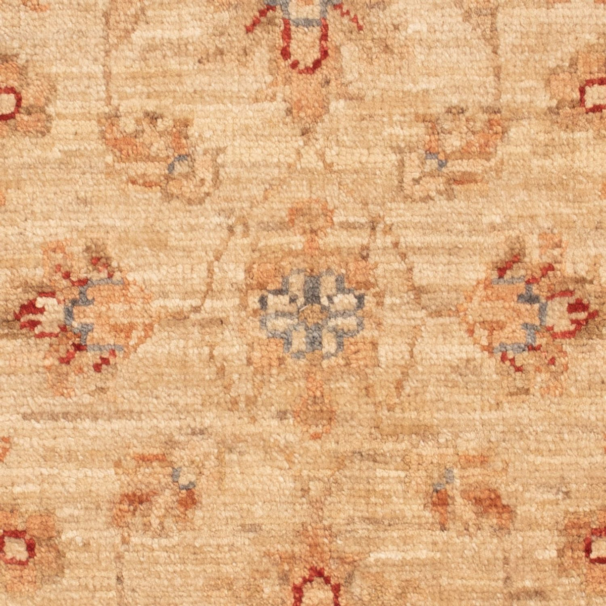 Ziegler Rug - 70 x 55 cm - beige