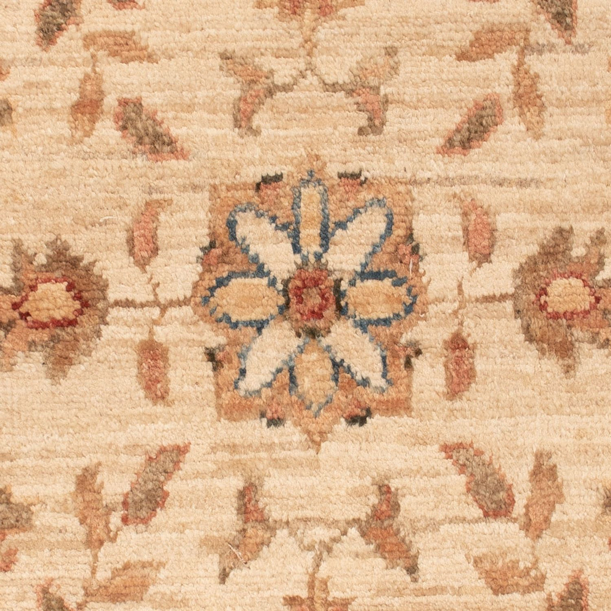 Ziegler Rug - 67 x 52 cm - beige