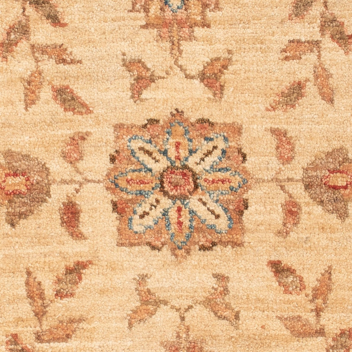 Ziegler Rug - 68 x 51 cm - beige