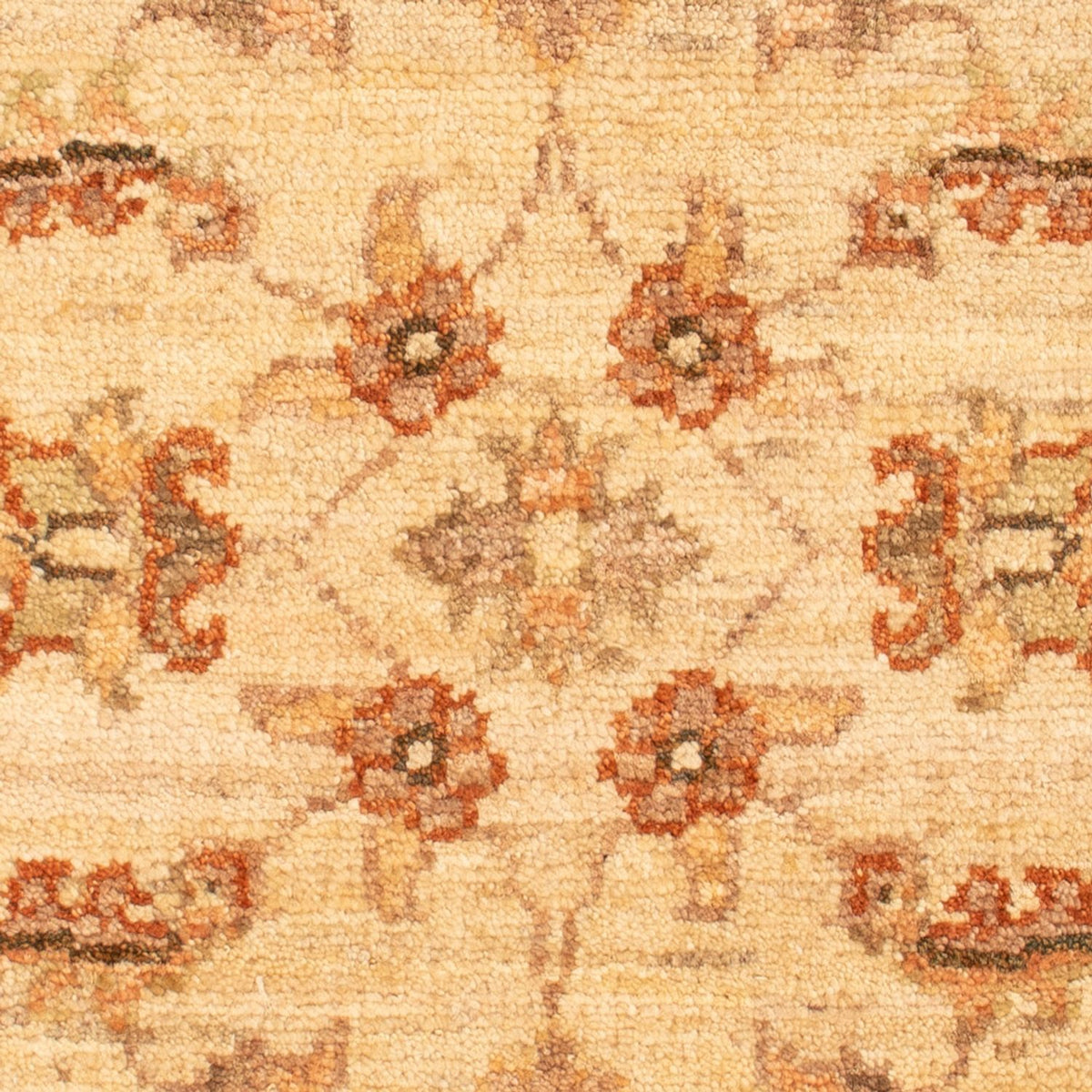 Ziegler Rug - 70 x 52 cm - beige