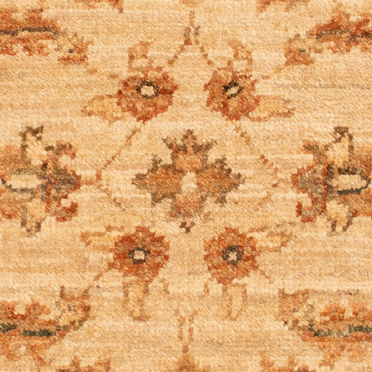 Ziegler Rug - 68 x 51 cm - beige