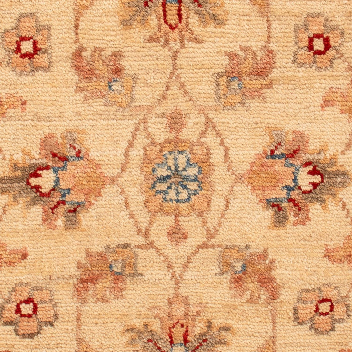 Ziegler Rug - 72 x 50 cm - beige