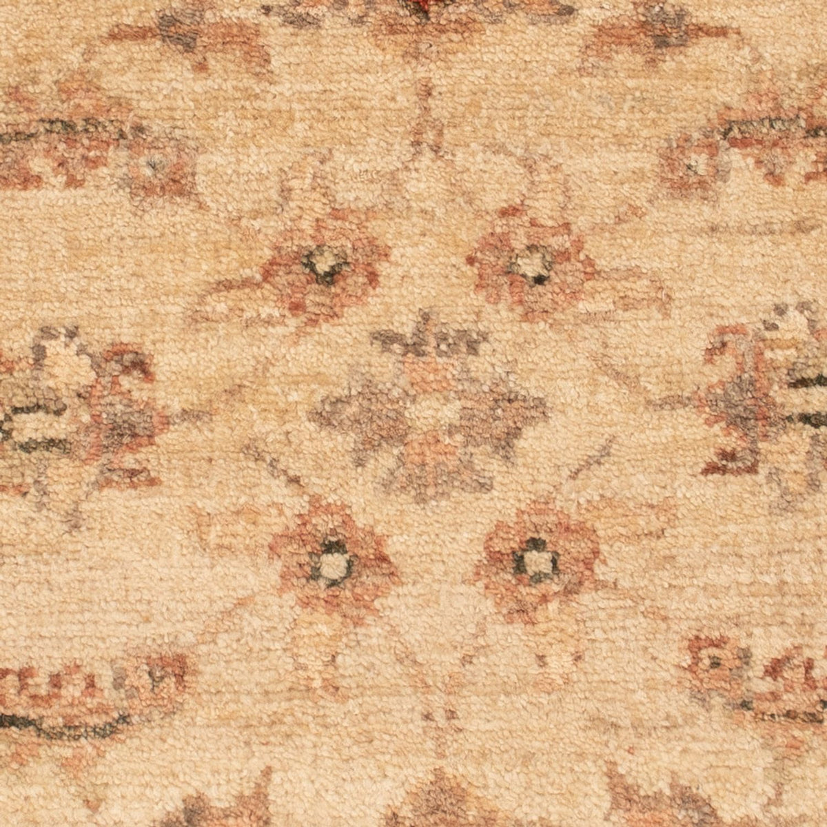 Ziegler Rug - 65 x 51 cm - beige